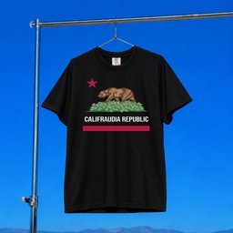 Nick Shirley Merch 2026 Califraudia Republic T-Shirt Black Parody Shirt Present For Brothers