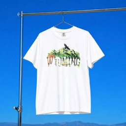 Ian Munsick Merch 2026 Wyoming T-Shirt Music Lover Gift Ideas For Him