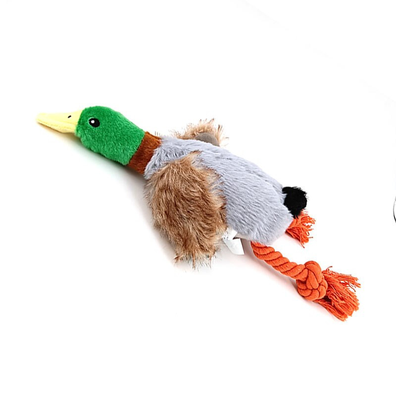 All Dog Gift items 2026