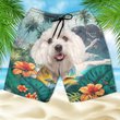 Maltese - 3D Men's Beach Short