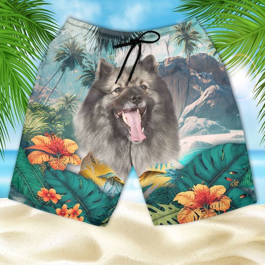 Keeshond - 3D Men's Beach Short