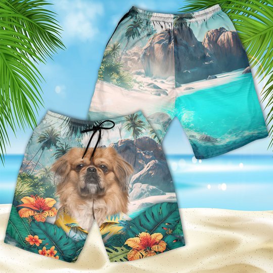 Pekingese - 3D Men's Beach Short