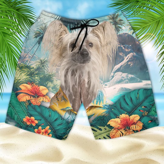 Chinese Crested - 3D Men's Beach Short