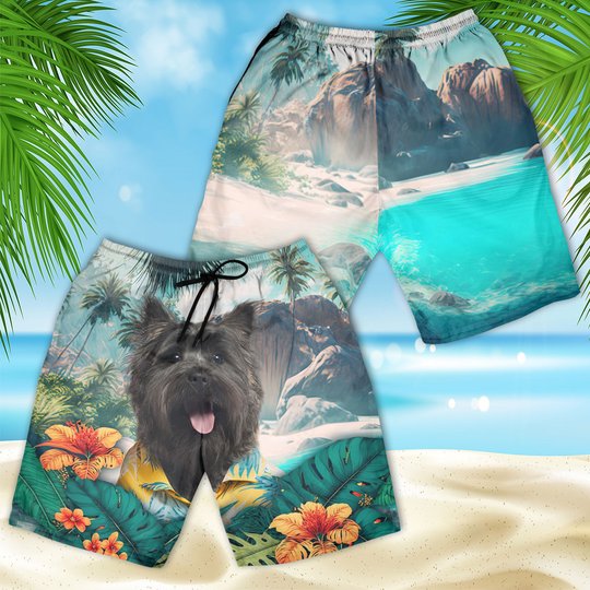 Cairn Terrier - 3D Men's Beach Short