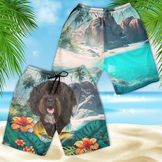 Barbet - 3D Men's Beach Short