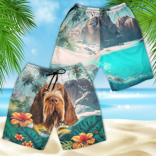 Spinone Italiano - 3D Men's Beach Short