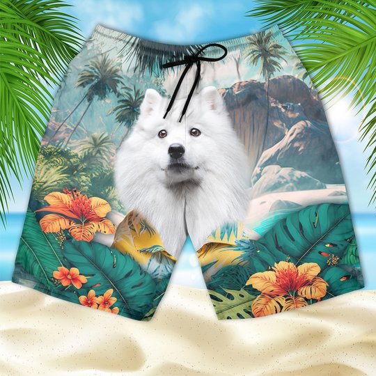 American Eskimo - 3D Men's Beach Short