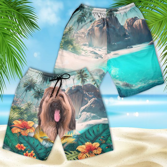 Briard - 3D Men's Beach Short