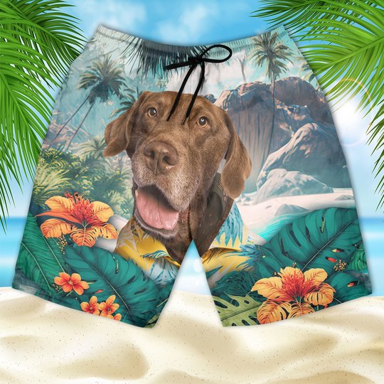 Chesapeake Bay - 3D Men's Beach Short