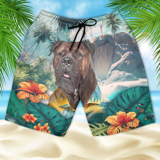 Bullmastiff - 3D Men's Beach Short