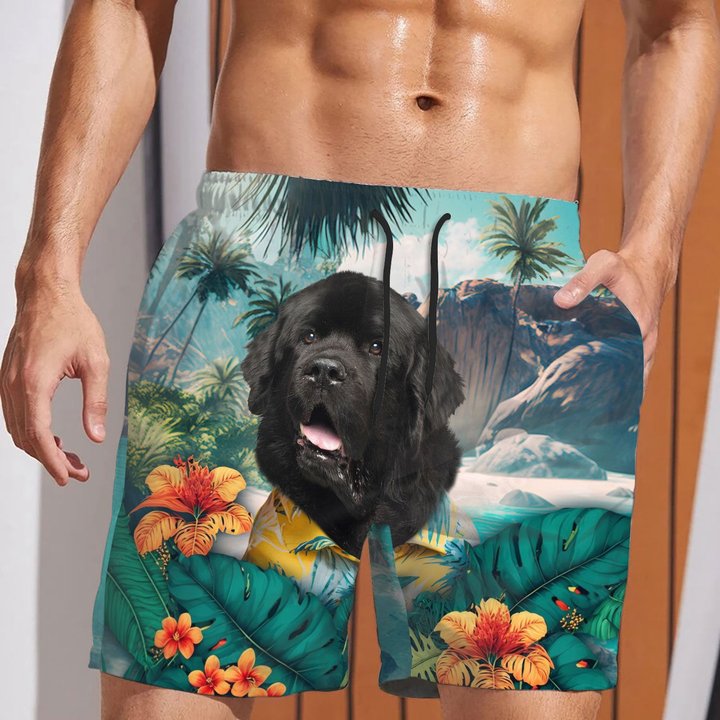 Newfoundland - 3D Men's Beach Short