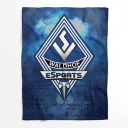 SV Waldhof Mannheim 07 schwarz blau Backsteinmauer SVW Fleecedecke - Decke 2