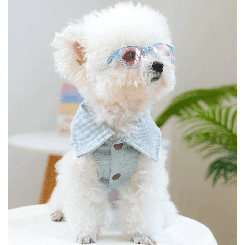 Pet Sunglasses