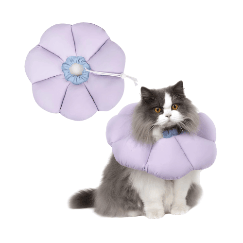 Pet's Collars