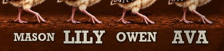 This Papa Loves His Flock Wild Turkey Custom Grandkids Names Shirt - print close-up