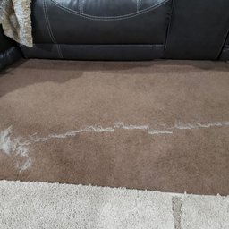 Pet Hair Remover