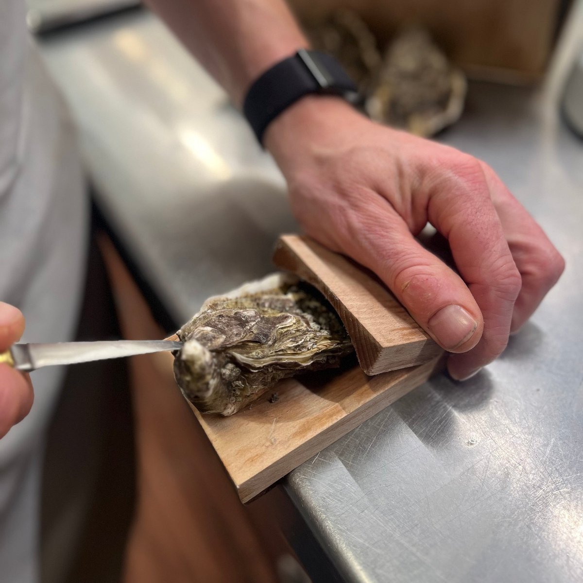 The Oyster clamp 2.0