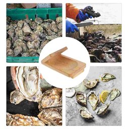 The Oyster clamp 2.0
