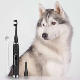Canident - Dental Scaler & Tooth Cleaner for dogs