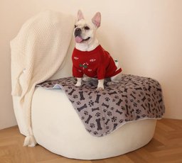 Puppy Pee Pads | Pee Pads For Dogs | PuppyPad