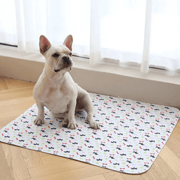 Puppy Pee Pads | Pee Pads For Dogs | PuppyPad