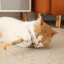 Purriq Natural Silvervine Dental Sticks