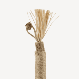 Purriq Natural Silvervine Dental Sticks