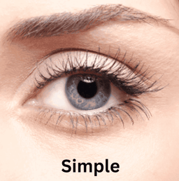 ElaraCraft™ Magnetic Lashes