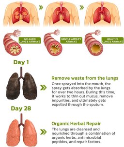 BreathDetox Herbal Lung Cleansing Spray