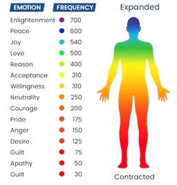 Bio-Healing Frequency System - The Natural Solution Your Body's Been Waiting For - Calminity