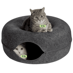 Cattasaurus Peekaboo Cat Cave