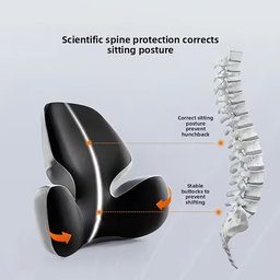 ErgoPadix: Enjoy Immediate Physical Relief and Healthier Posture Everywhere.