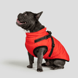FurryKing 3 in 1 Winter Jacket