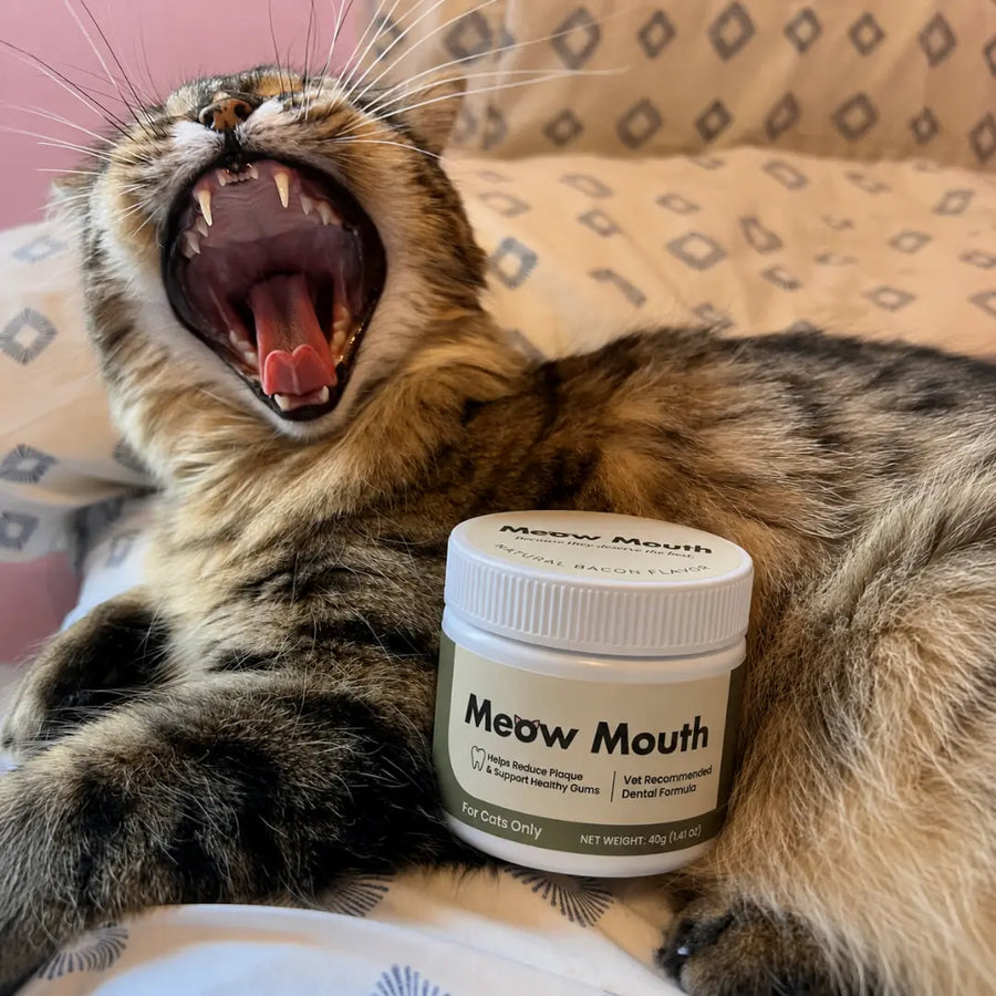 Cat yawning next to a tub of Meow Mouth