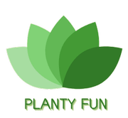 planty fun