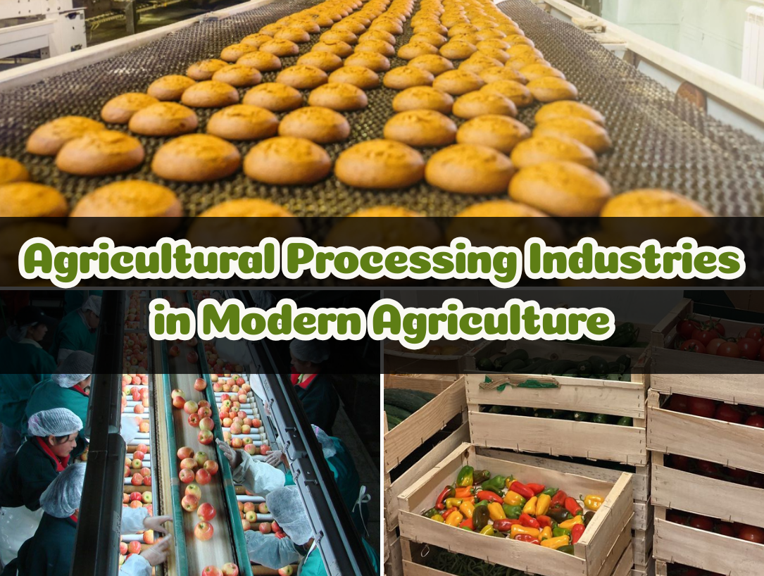 Agricultural Processing Industries in Modern Agriculture - Alina Basics