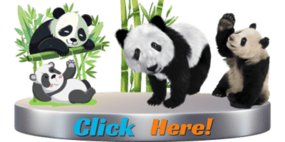 Cuddly Panda Apparel for Panda Fans (USA)! Discover Our Collection Now! (Targets "panda," "USA,")