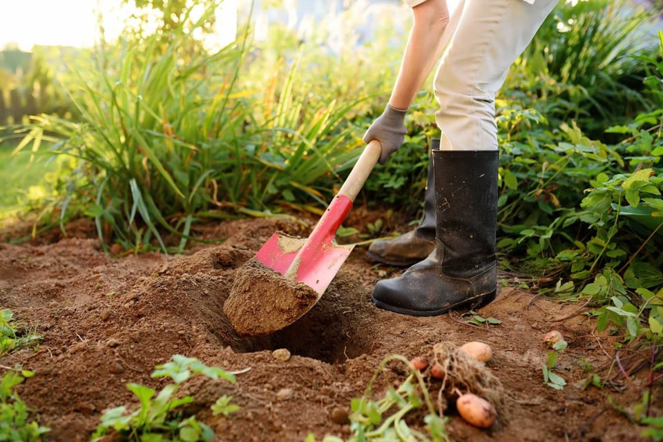 Digging & Cultivating tools