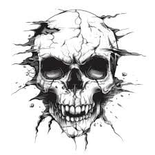 Skull Lover Collection