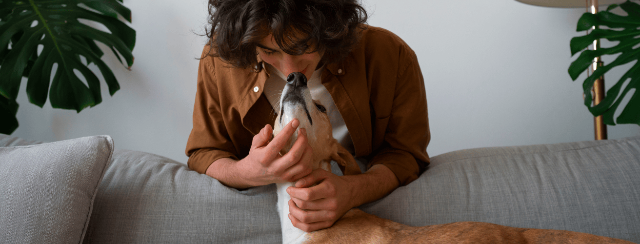 Premium pet supplies for your beloved companions