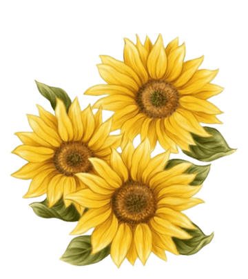 Sunflower Lovers Collection