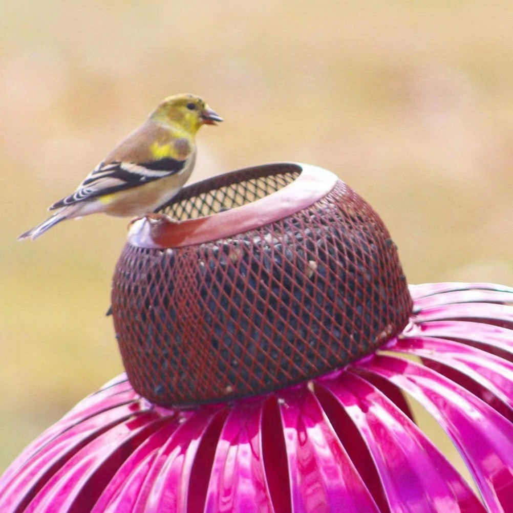 Coneflower Bird Feeder