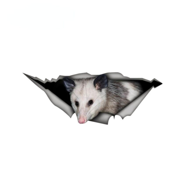 Opossum sticker 3D Pet Graphic Vinyl Decal Car Window Laptop Bumper Car Stickers 13cm x 4.8cm